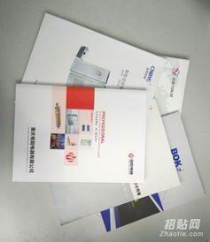 樂清樣本畫冊設計與印刷服務 宣傳冊、單張、說明書與網(wǎng)站設計一體化解決方案